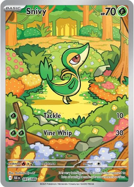 087/086 - Black Bolt - Snivy (Illustration Rare)