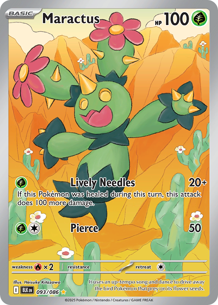 Maractus 93/86