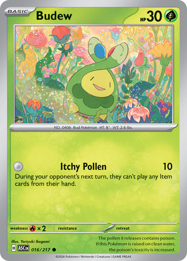 016 Budew - Ascended Heroes | Pokémon TCG