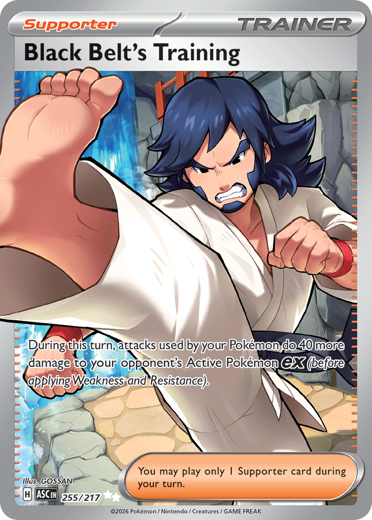 255 Black Belt's Training - Ascended Heroes | Pokémon TCG
